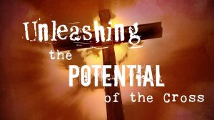 11800202_886003528102473_5943722319461091719_n