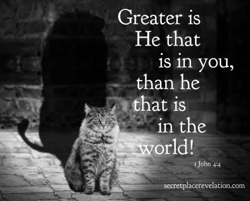 26907832_1922099327817724_8040032166691848899_n