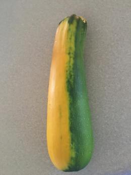 43712409_2281893652047126_5081480416121061376_n