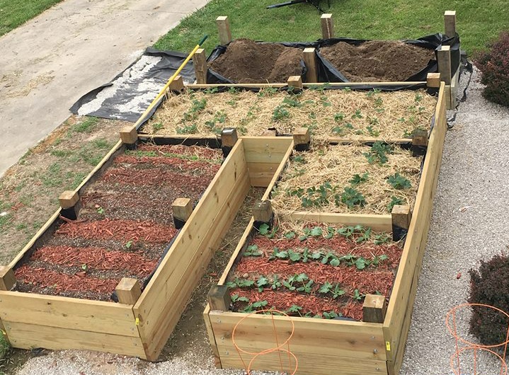 43878570_297232461097849_8427642539686756352_n (2)