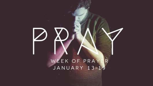 49759142_2027278693974945_5993067695480766464_n